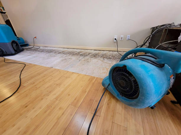 Professional Water Removal technician working in Georgetown, MA